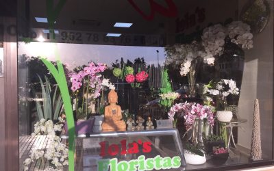 Lola´s Floristas